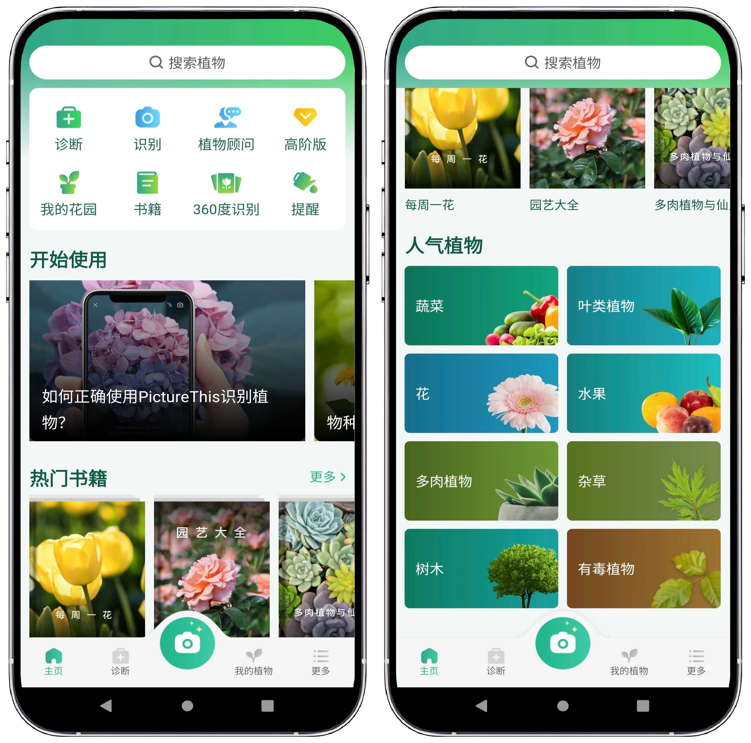图片[1]-植物识别v4.4.1专业版 - 果核智能-果核智能