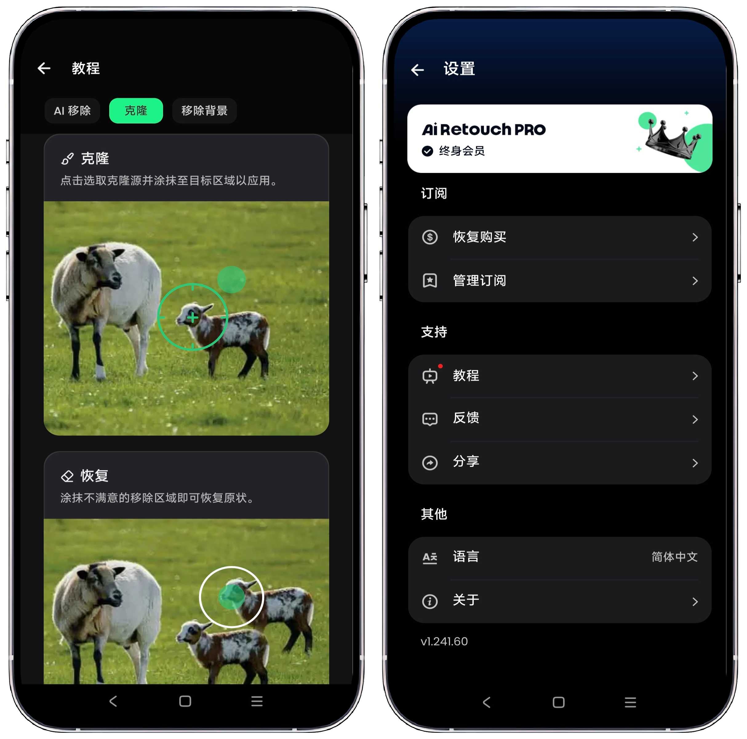 图片[6]-AiRetouch移除杂物1.241.60高级版 - 果核智能-果核智能